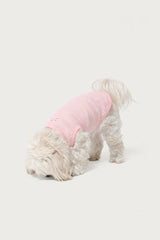 Pawfect Pet Tank Top